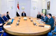 الرئيس السيسى : ضرورة تعظيم فرص التعاون مع شركة سكاتك ومجموعة صنجرو