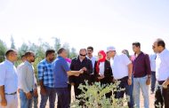 رئيس تنمية الصعيد يتفقد مشروع «زراعة نبات الجوجوبا» على مساحة ٣٠٠٠ فدان علي مياه الصرف الصحي