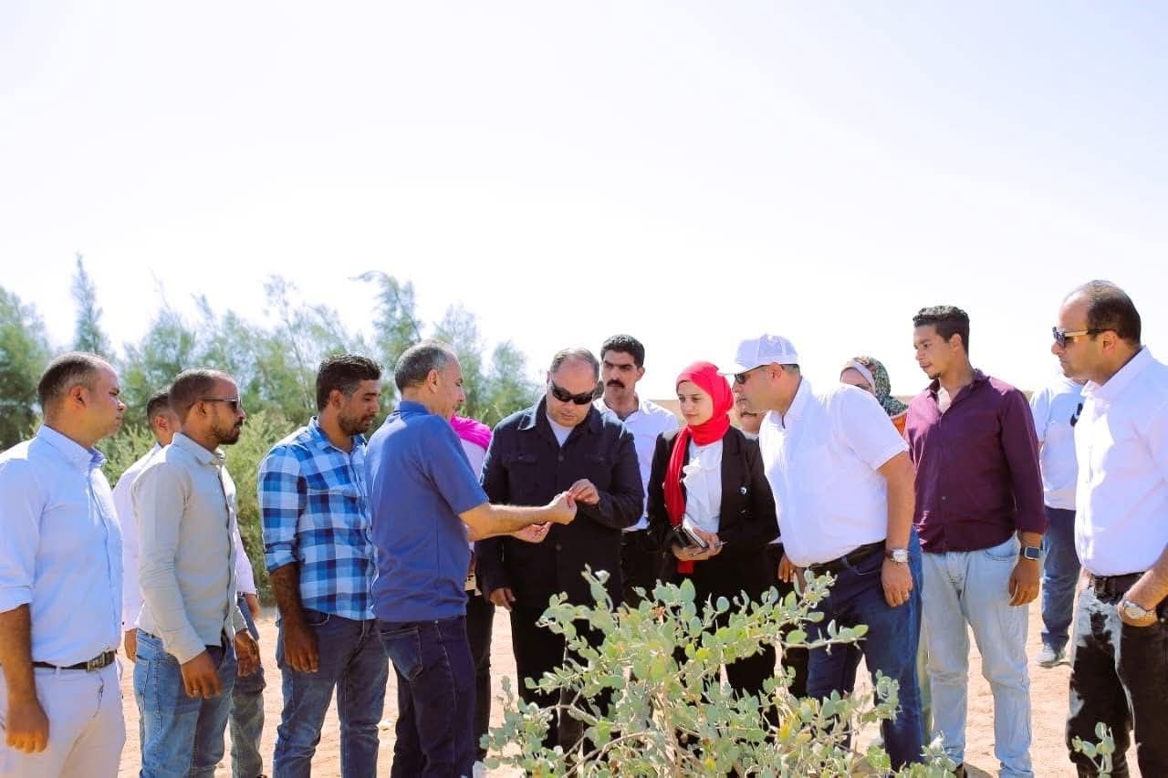 رئيس تنمية الصعيد يتفقد مشروع «زراعة نبات الجوجوبا» على مساحة ٣٠٠٠ فدان علي مياه الصرف الصحي