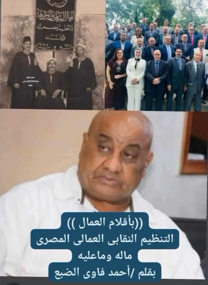 احمد فاوى الضبع يكتب  لتنظيم النقابى العمالى المصرى ماله وماعليه
