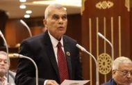 عصام الدين فريد رئيسًا لمجلس الشيوخ