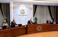 الشراكة المصرية القطرية في 