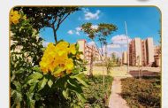 أجهزة المدن الجديدة تُواصل أعمال رفع الكفاءة والتطوير للطرق والميادين والمرافق وصيانة المسطحات الخضراء