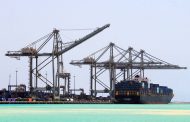 ترانسكارجو إنترناشيونال تجرى الدراسات الفنية والاقتصادية لتشغيل محطة متعددة الأغراض