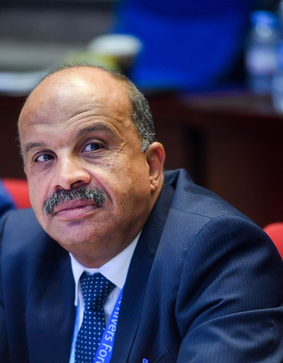 د.أسامة عبد المجيد نائب رئيس المنظمة العربية للمتاحف