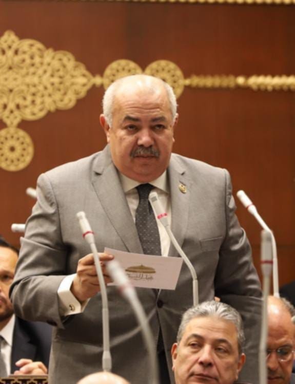 النائب عمرو أبو السعود: المتحف المصري الكبير بوابة الحضارة المصرية نحو المستقبل