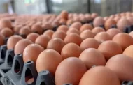 انخفاض أسعار البيض اليوم بالأسواق