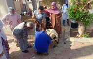 البحوث الزراعية.. يطلق 3 قوافل بيطرية مجانية في القليوبية لدعم صغار المربين بالتعاون مع صندوق التأمين على الثروة الحيوانية