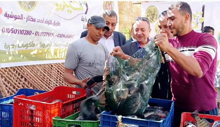 الوادى الجديد تطرح إنتاج الدورة الثانية من أسماك البلطي الحي والطازج