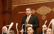 نائب التنسيقية عماد خليل يوافق على قانون الحكومة بتعديل بعض أحكام قانون الكهرباء