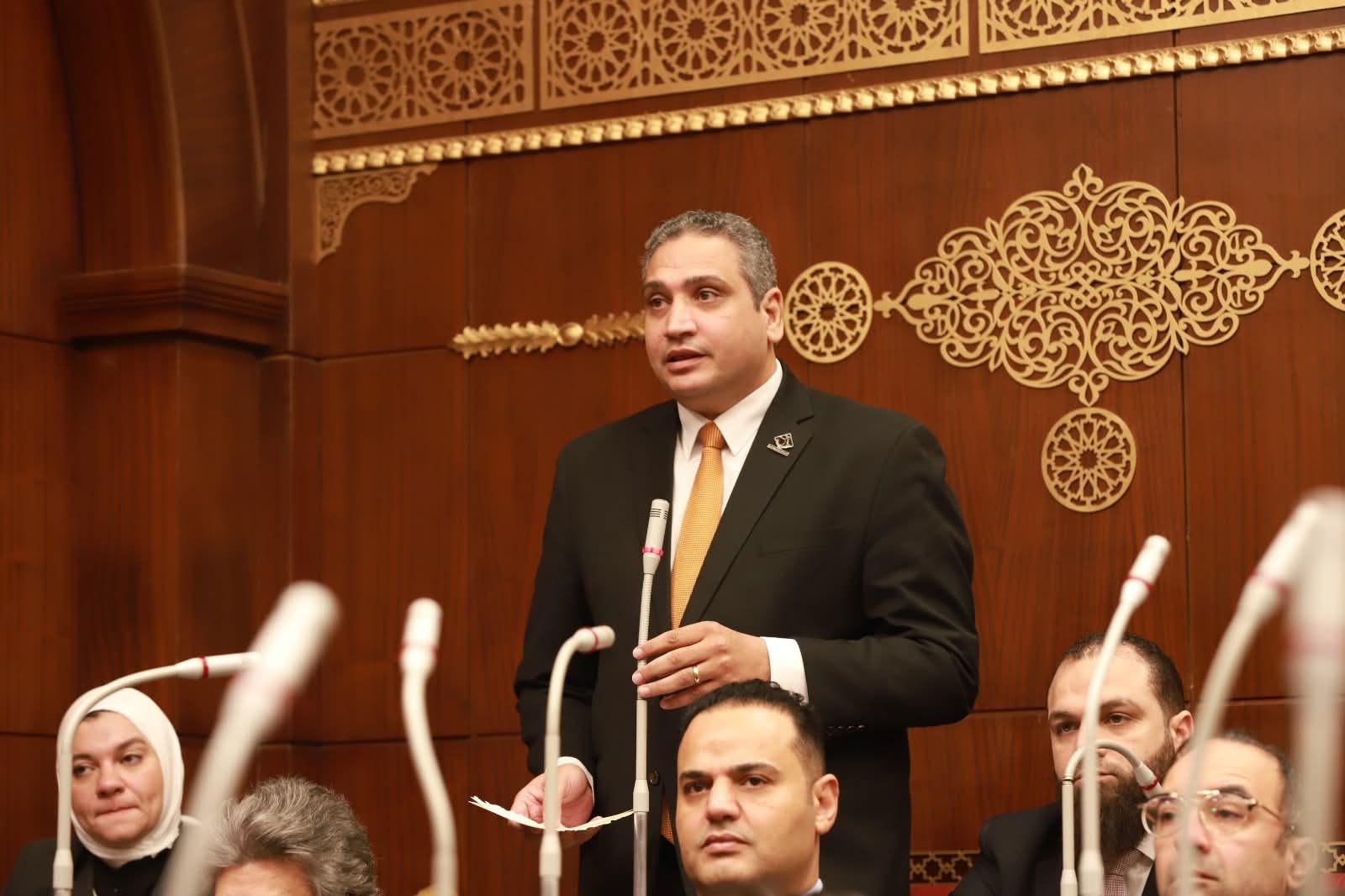 نائب التنسيقية عماد خليل يوافق على قانون الحكومة بتعديل بعض أحكام قانون الكهرباء