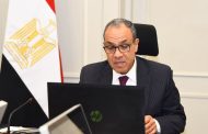 وزير الخارجية يستعرض الرؤية المصرية لتحقيق السلام والتنمية في شرق الكونجو الديمقراطية