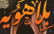 حجاج اول عويشة تكتب.. بلا هويّة