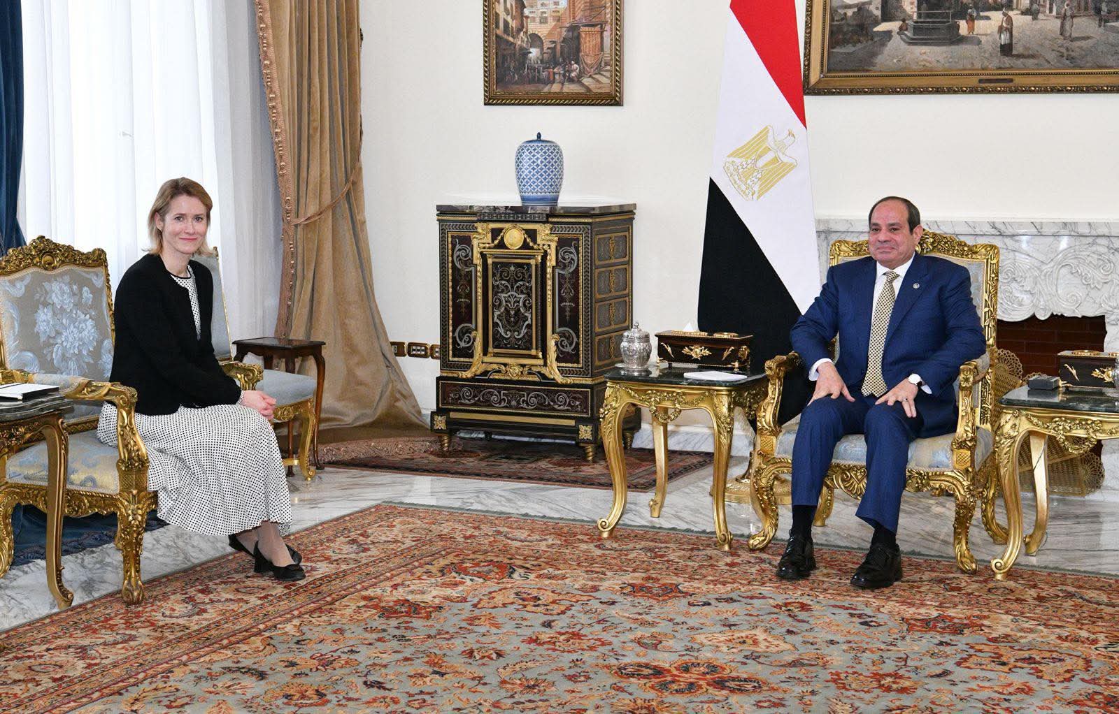 الرئيس السيسى: ضرورة مواصلة العمل لاستئناف العملية السياسية وصولاً إلى تحقيق سلام شامل وعادل ودائم