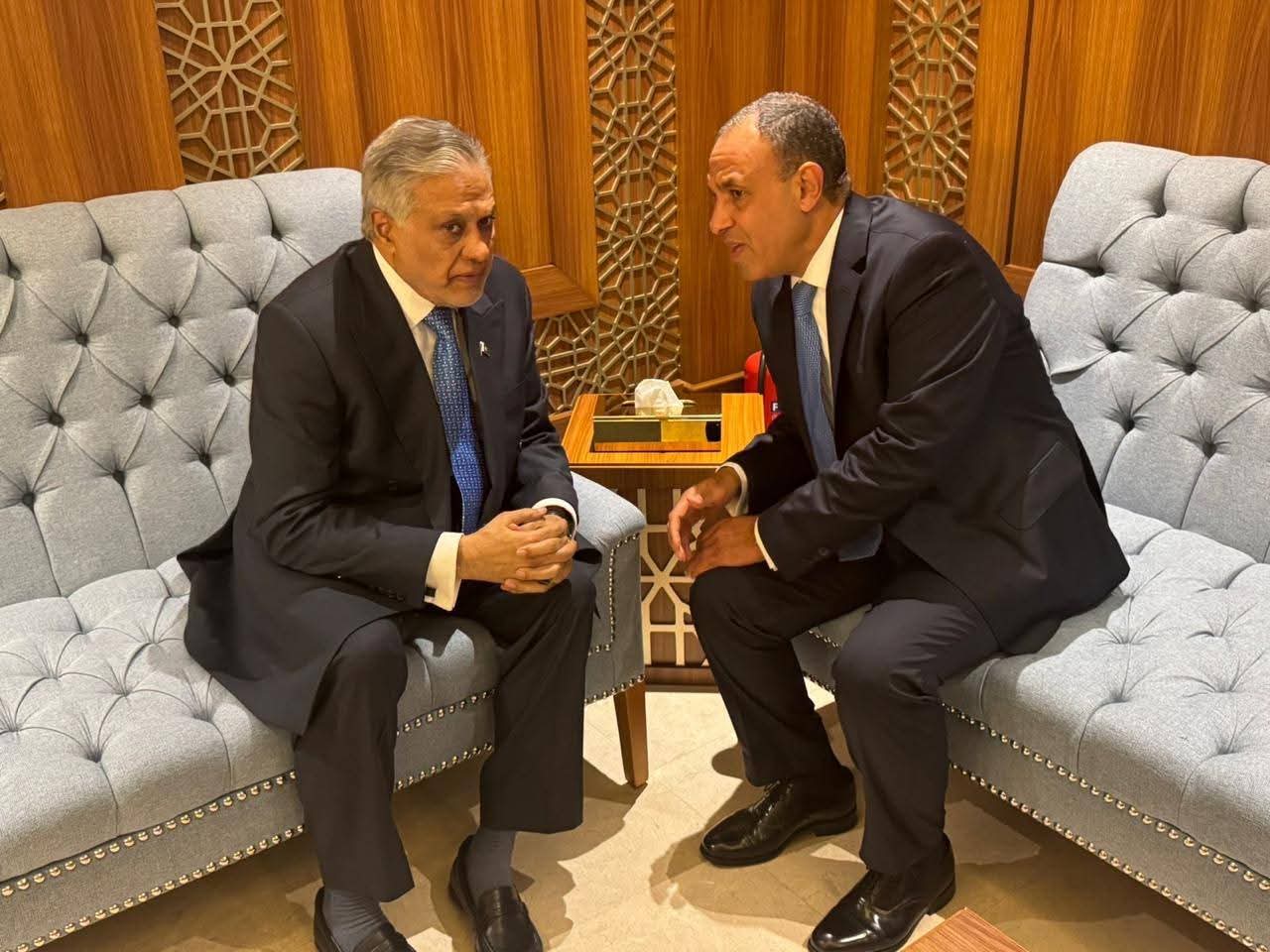 لقاء بين وزير الخارجية المصري ونظيره الباكستاني