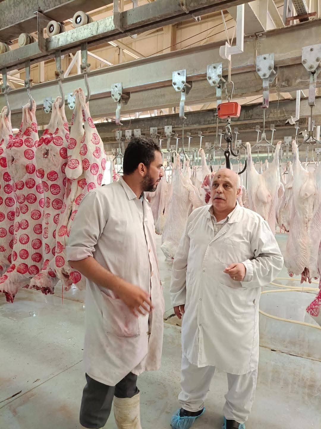 الزراعة : المجازر الحكومية استقبلت 705 ألف رأس ماشية خلال النصف الثاني من 2025
