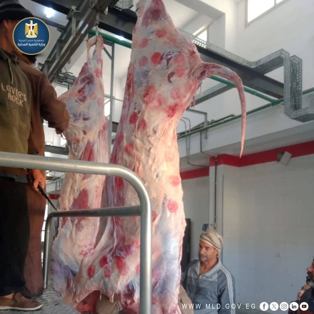التشغيل التجريبي لمجزر مدينة الخارجة بتكلفة 21.8 مليون جنيه