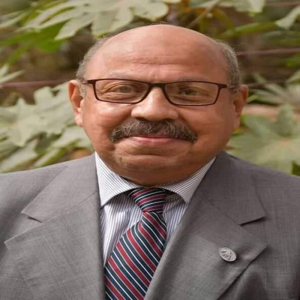 ا د عاطف محمد كامل يكتب ماهى الحلول المستندة إلى الطبيعية ودورها في حماية وإستدامة النظم البيئية
