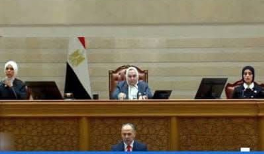 د. محمود البحراوى برلمان الهوانم.. الستات فى البرلمان