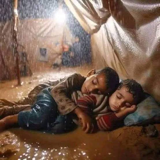زاهر الأسعد يكتب.. صلاة الصوف والجليد