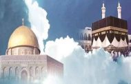 ماجدة عبد العظيم تكتب.. يوم الفرح والجبر