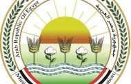 «الزراعة» تحذر من صفحات وهمية تروج لبيع منتجاتها عبر مواقع الإنترنت وصفحات التواصل الاجتماعي