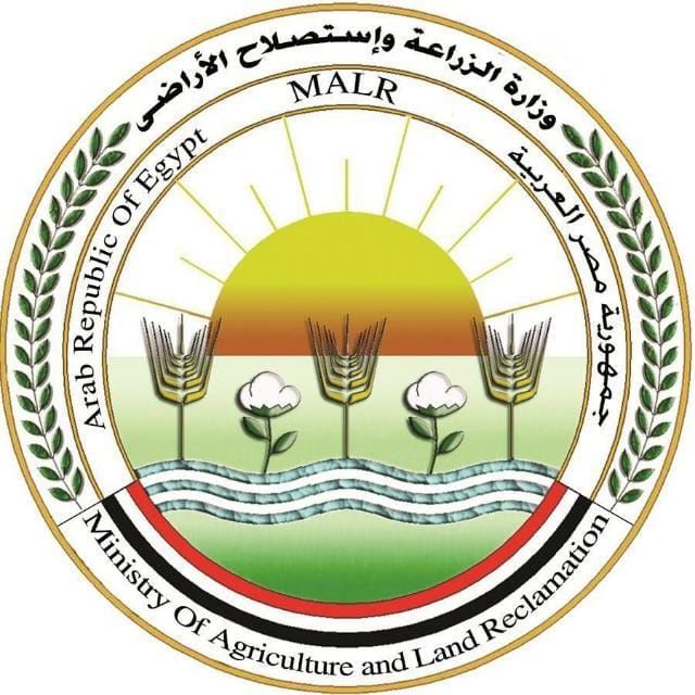 «الزراعة» تحذر من صفحات وهمية تروج لبيع منتجاتها عبر مواقع الإنترنت وصفحات التواصل الاجتماعي