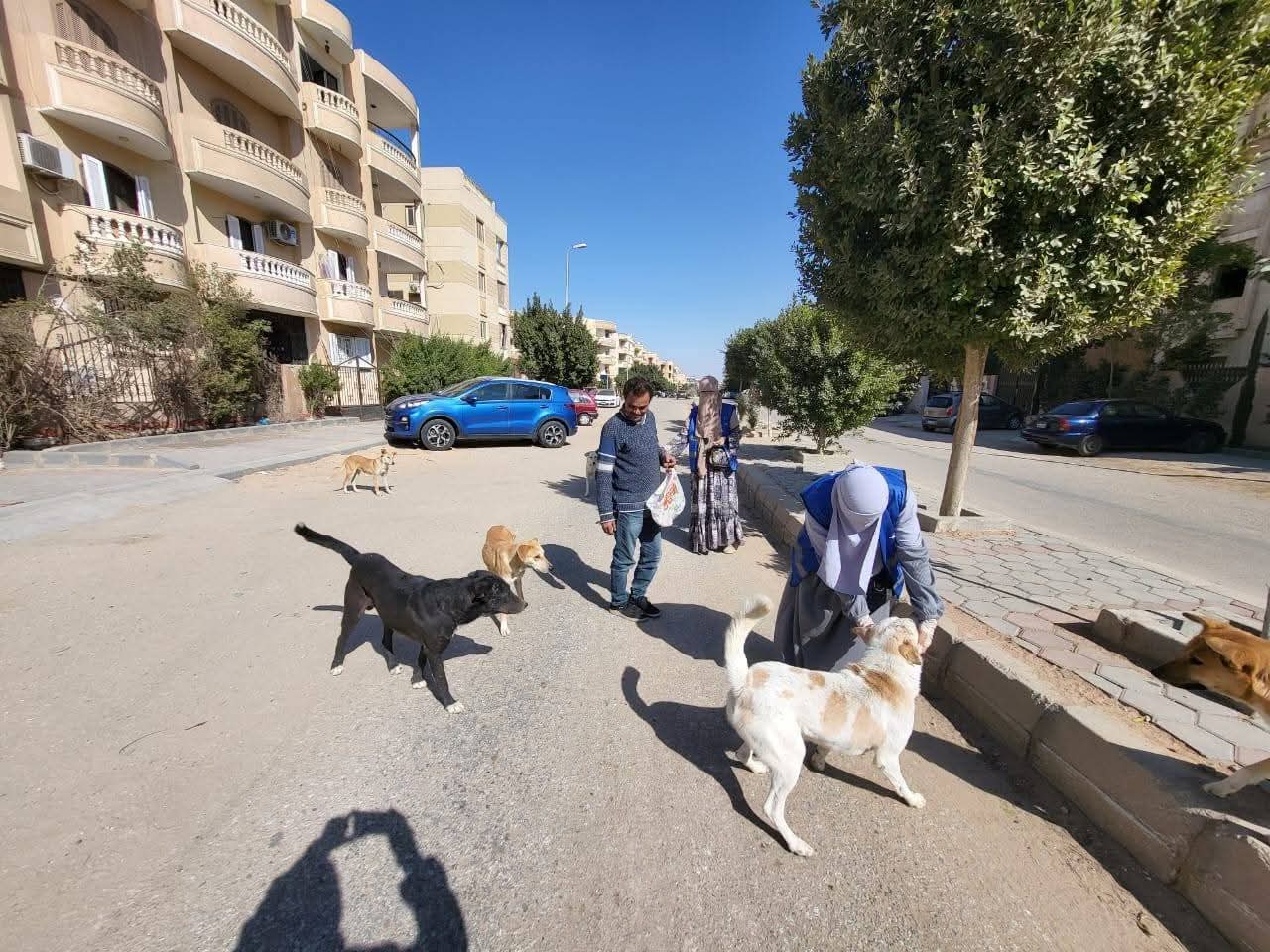 الزراعة: تحصين 8,254 كلب حر وتعقيم 1,122 لمكافحة مرض السعار