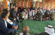بحوث الصحراء.. ينظم ندوة علمية لدعم وتنمية زراعة الزيتون بشمال سيناء