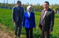 الزراعة.. تشن حملة تفتيش مفاجئة بالجيزة واجتماعات موسعة بالغربية لمتابعة جهود دعم المزارعين وحماية الرقعة الزراعية