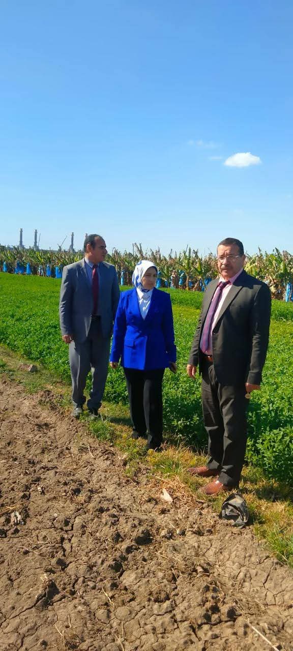 الزراعة.. تشن حملة تفتيش مفاجئة بالجيزة واجتماعات موسعة بالغربية لمتابعة جهود دعم المزارعين وحماية الرقعة الزراعية
