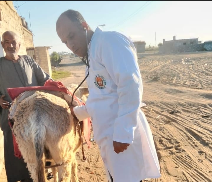 قوافل بيطرية مجانية بقرية السلام وعلاج ١٥١٤ حيوانا