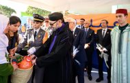 الملك محمد السادس يطلق عملية : دعم لأكثر من 4.3 مليون شخص في المغرب
