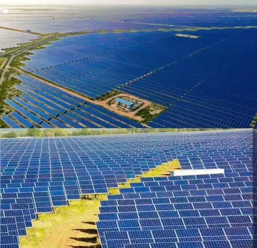 تنمية الصحراء لن تنتظر الشبكة القومية.. والفضل لحلول الطاقة المستقلة