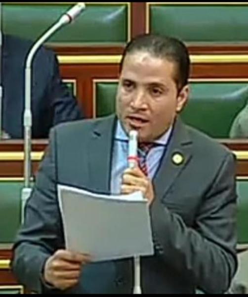 النائب ايمن طه : التحركات المصرية تستهدف منع انزلاق المنطقة إلى صراع مفتوح