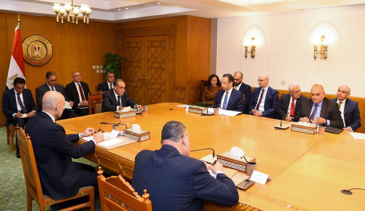 هندى يشارك فى الاجتماع التنسيقى لمتابعة قضايا المصريين بالخارج