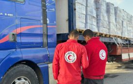 الهلال الأحمر المصري يعزز مد غزة بمواد غذائية شتوية  «زاد العزة» 159