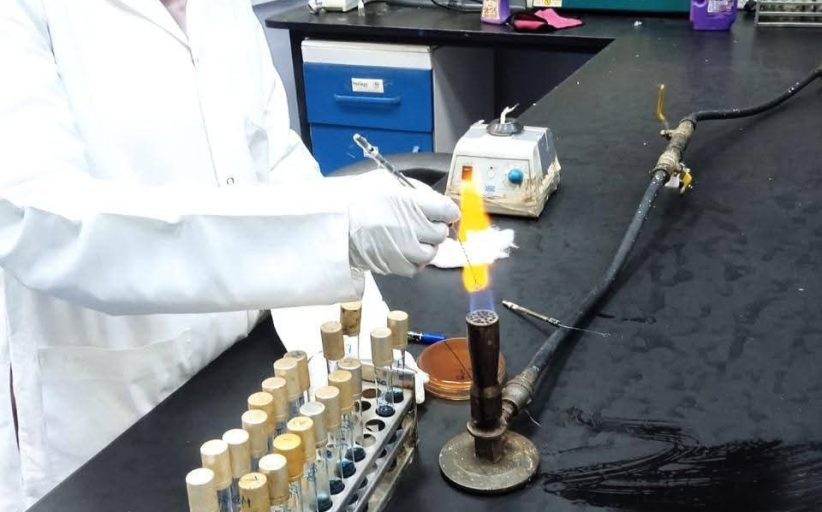 الزراعة تواصل العمل خلال إجازة عيد الفطر لضمان سلامة الغذاء ودعم المربين