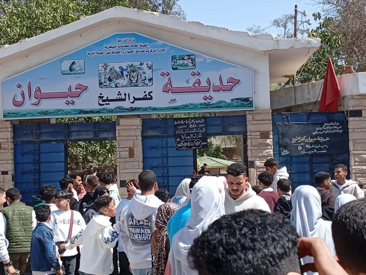 الزراعة: 67 ألف زائر لحدائق الحيوان بالمحافظات والاسماك فى أول يومين من عيد الفطر