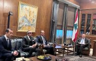 وزير الخارجية يلتقي رئيس مجلس النواب اللبناني ببيروت ويؤكد تضامن مصر مع لبنان الشقيق