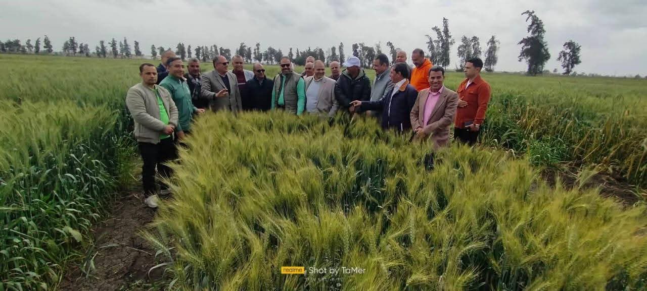 مديريات الزراعة تكثف جهود المتابعة الميدانية لتعزيز الحوكمة ودعم المزارعين