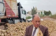 الزراعة تكثف لجان المتابعة الميدانية بالبحيرة والمحافظات لضبط الأداء وحل شكاوى المزارعين
