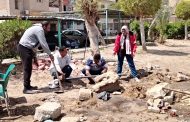 رفع كفاءة وتجميل حدائق وشوارع الإسماعيلية ضمن مبادرة “شارع منظم ورصيف آمن”