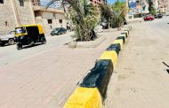رفع كفاءة وتجميل البلدورات بمدخل مدينة الرياض كفرالشيخ.. ضمن خطة المحافظة لتطوير المظهر الحضاري