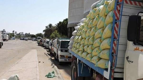 وصول66 الف طن قمح روسي لميناء سفاجا البحري