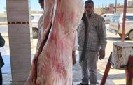 بتوجيهات وزير الزراعة.. حملات رقابية موسعة بالمحافظات لمواجهة ذبح 