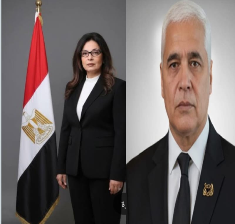 د. .كمال يونس يكتب.. إلى وزيرة الثقافة