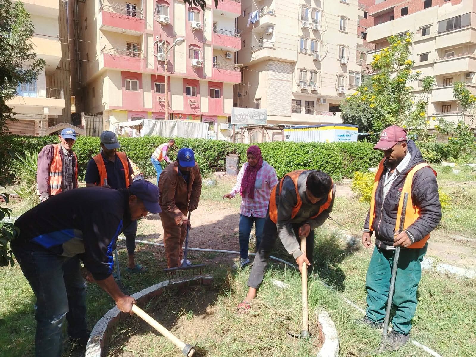 جهاز التطوير يواصل رفع كفاءة وتجميل المربعات السكنية والمساحات الخضراء بحي ثان وثالث الإسماعيلية