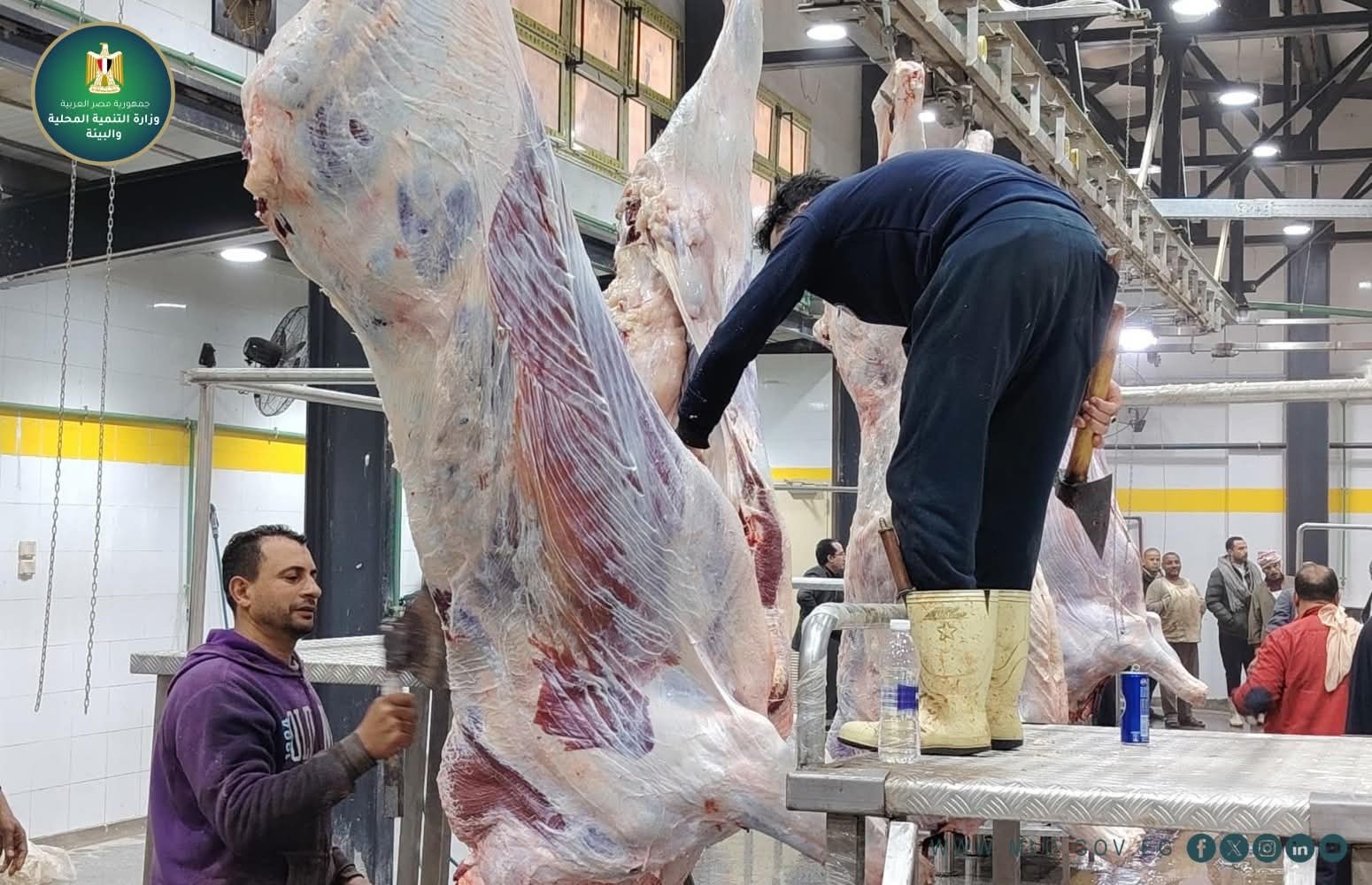 التشغيل التجريبي لمجزر أبو كبير بالشرقية بتكلفة 25 مليون جنيه