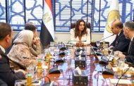 إنتاج الوقود الحيوي من مخلفات المجازر الحيوانيّة وزيوت الطعام المستعملة.. خطة حكومية